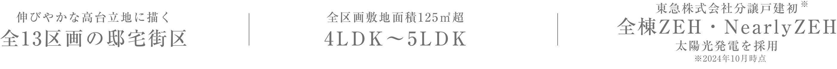 伸びやかな高台立地に描く　全13区画の邸宅街区｜全区画敷地面積125㎡超　4LDK〜5LDK｜東急株式会社分譲戸建初　ZEH・NearlyZEH