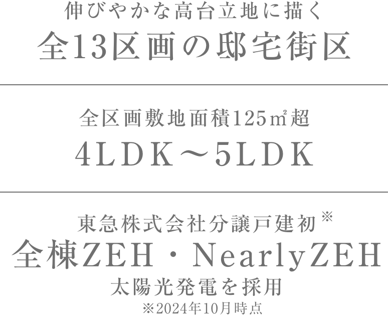 伸びやかな高台立地に描く　全13区画の邸宅街区｜全区画敷地面積125㎡超　4LDK〜5LDK｜東急株式会社分譲戸建初　ZEH・NearlyZEH