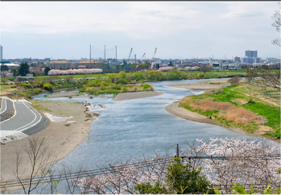 多摩川河川敷