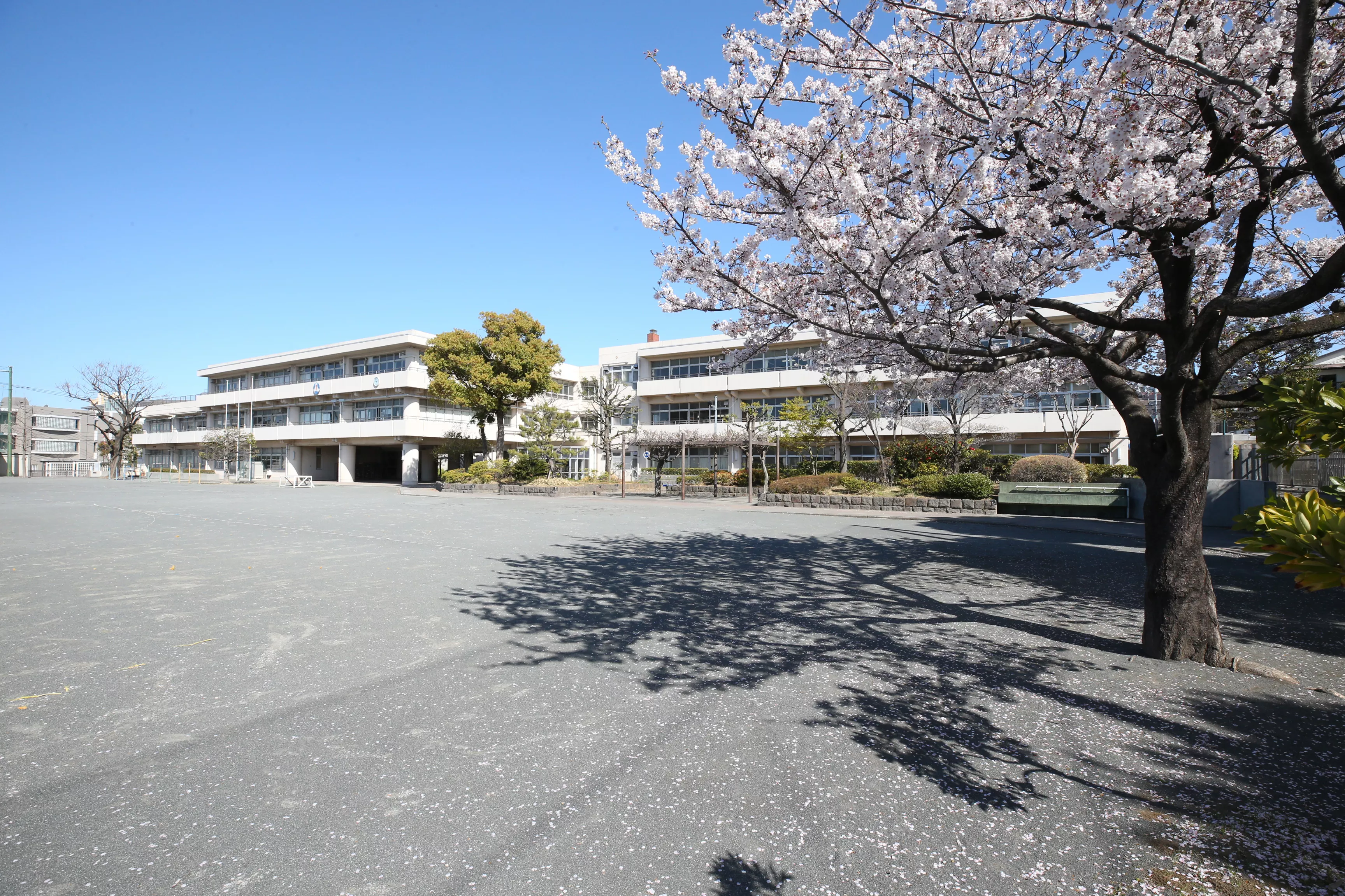 新石川小学校外観画像