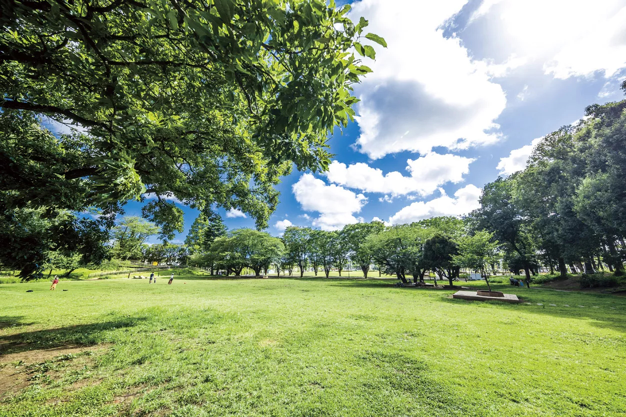 tsuruma park