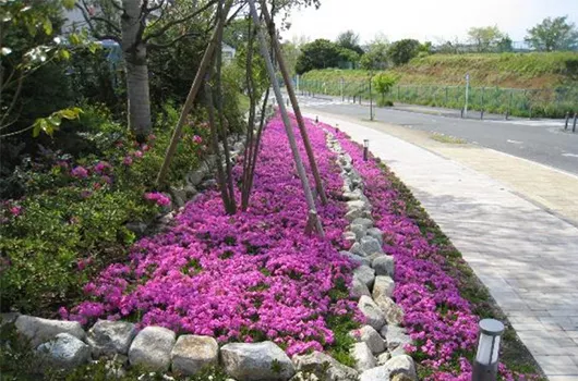 ドレッセ横浜十日市画像